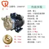 Um Coração Substituto Aolong Zheng Tian Aolanke Bomba de Vórtice de Alta Pressão Bomba Whirlpool Caldeira Elétrica a Vapor Abastecimento de Água Resfriamento Aço Inoxidável