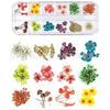 Nueva Uña Japonesa Flor Seca 12 Colores Estrella Girasol Margarita Pequeña 12 Colores Decoración de Flor Seca 24 Flores Secas para Uñas