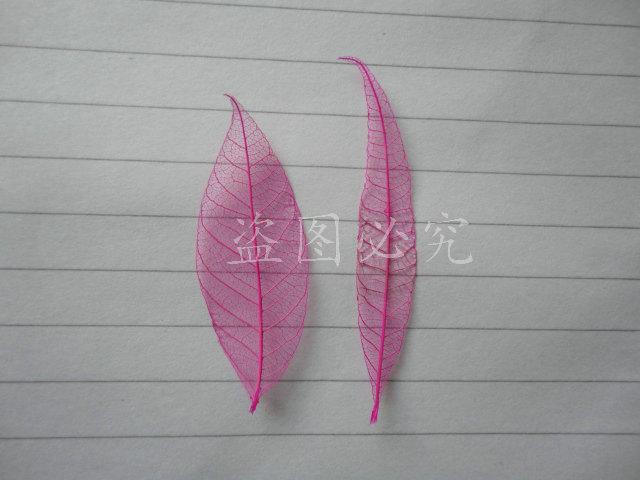 A027橡胶叶脉(1)