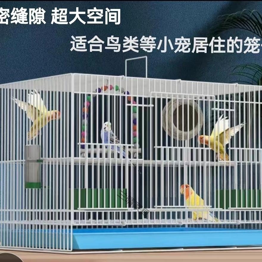 7816a31b-3d8e-4760-8871-e0b2910bf850.jpe