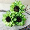 Arte de Crisantemo Holandés Hecho a Mano Materiales de Flores Secas, Plantas, Flores Artificiales Eternas, Artículos Decorativos, Accesorios para Fotos, Flores al por Mayor