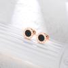 Pendientes de Acero de Titanio Amazon para Mujer, Estilo Retro Simple, Pendientes Versátiles, Pendientes de Resina con Forma de Concha de Acero Inoxidable al por Mayor
