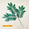 Hojas de magnolia y mango artificiales con tacto realista, recubiertas de pegamento, hojas de árbol falsas, ramas, plantas verdes para decoración de proyectos de otoño, paisajismo y venta al por mayor