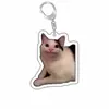 Chaveiro criativo de expressão de cachorro gatinho lembrança sapo acrílico foto cachorro pingente acessórios para animais de estimação