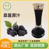 Procesamiento de Jugo de Moras NFC, Jugo de Moras Personalizado, Materias Primas Comerciales para Fábrica de Alimentos y Bebidas, Jugo de Moras No Concentrado