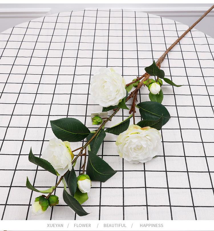 单支茶花_14.jpg