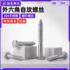 Tornillos autorroscantes hexagonales externos de acero inoxidable 304 GB5285 cabeza hexagonal tornillos autorroscantes para productos electrónicos m6m8m10