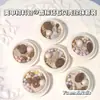 Ventas Directas de Fábrica Piezas de Concha de Diamante Champagne Paquete de Materiales para Manicura de Perlas de Colores Caja Decoración de Materiales para Uñas