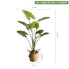 Plantas Artificiais Estilo Nórdico em Estoque para Atacado, Planta Artificial de Taro Torto, Plantas Verdes Falsas para Paisagismo, Plantas em Vasos para Decoração de Piso Interno para Sala de Estar