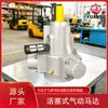 El Motor Neumático Yuanba Tmh020 Modelo Básico Se Puede Equipar con un Reductor de Brida para Impulsar Equipos Utilizados en Maquinaria de Minería de Carbón