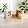 Caixa para Bolo de Sobremesa Estilo Francês, Transparente Descartável 2/ 3 polegadas Caixa de Embalagem para Mousse, Mini Caixa com Janela de Maçã para Levar