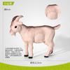 Brinquedos de Modelo Animal Realista Mais Vendidos Transfronteiriços, Vendas Diretas de Fabricantes, Presentes Educacionais de Ciência para Meninos e Meninas, Biônico