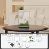 Acuario de Plástico para el Hogar, Tanque No Reflectante para Peces Dorados, Acuario Multifuncional, Mini Tanque para Guardar Peces Ornamentales Acrílicos