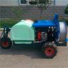 Chengde pulverizador manual agrícola de empurrar por pessoa para pesticidas pulverização de árvores frutíferas equipamento mecânico movido a gasolina pesticida de alta potência