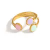 Anillo Estilo Ins Europeo y Americano Hoja Goteo de Aceite Hoja Colorida Lujo Ligero Gama Alta Oro 18K No se Desvanece