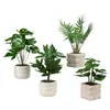 Plantas Verdes Simuladas en Maceta para Oficina, Decoraciones de Mesa de Interior para Sala de Estar de Alta Gama, Plantas Artificiales, Flores Falsas, Accesorios para Fotografía