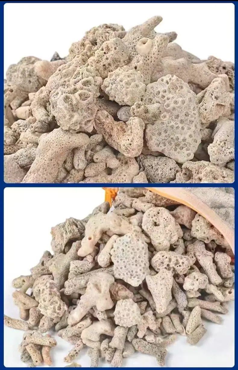 珊瑚沙详情5