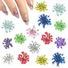 Estilo Ins japonés flor seca para uñas joyería pétalos pequeños Cielo Estrellado 12 rejillas colorida encaje flor decoración de uñas flor