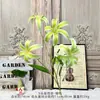 Nuevo Modelo de Lirio Dorado de 5 Cabezas Impreso en 3D Decoración de Boda Flores Artificiales, Accesorios para Fotos, Flores Falsas de Diseño Floral, Transfronterizo