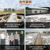 Agente Antiespumante Grau Industrial Silicone Poliether Tratamento de Água Revestimento Limpeza Fabricação de Papel Dessulfurização Supressão de Espuma Zhongke Hongtai