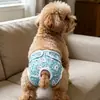Nuevos Pantalones Fisiológicos Transpirables para Perros Hembra de Amazon, Pantalones Menstruales, Pañales Anti-Acoso, Pañales Lavables, Suministros para Mascotas