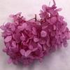 Hortensia Flor Seca Flor Eterna Material Flor Rosa Regalo de Navidad Ramo Hecho a Mano Hortensia de Madera 20g En Caja