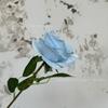 Rosa Redonda Simples Flor Artificial Flor de Casamento Decoração de Casamento Fileira de Flores Parede de Flores em estoque Flor de Seda Flor Rosa