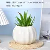 Vasos de Porcelana Branca para Flores Transfronteiriços Amazon Vasos Cerâmicos para Suculentas Simples Criativos Preto e Branco para Interior Vasos para Orquídeas Plantas Verdes