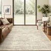 Tapete Persian Imitation Cashmere de Luxo Leve da Amazon, Antiderrapante, Lavável à Máquina, Manta para Sofá para a Sala de Estar, Tapete de Cabeceira de Fácil Cuidado para o Quarto