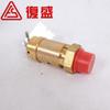 2104110090 Compresor de Tornillo Original de Fábrica Fusheng Sin Aceite Lubricado con Agua 1/2, Válvula de Seguridad 10Barg