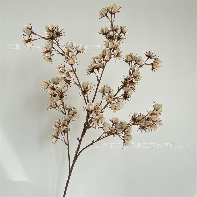 微信图片_202209081727139