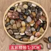 Piedras de Colores para Jardín 2.5kg Guijarros Pequeños Naturales para Paisajismo Piedras Originales para Acuarios Macetas Lluvia Liang