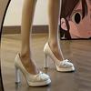 Sapatos de Plataforma Impermeáveis Franceses Elegantes para Mulheres 2025 Primavera e Verão Nova Moda Versátil Bico Raso Mary Jane Salto Alto