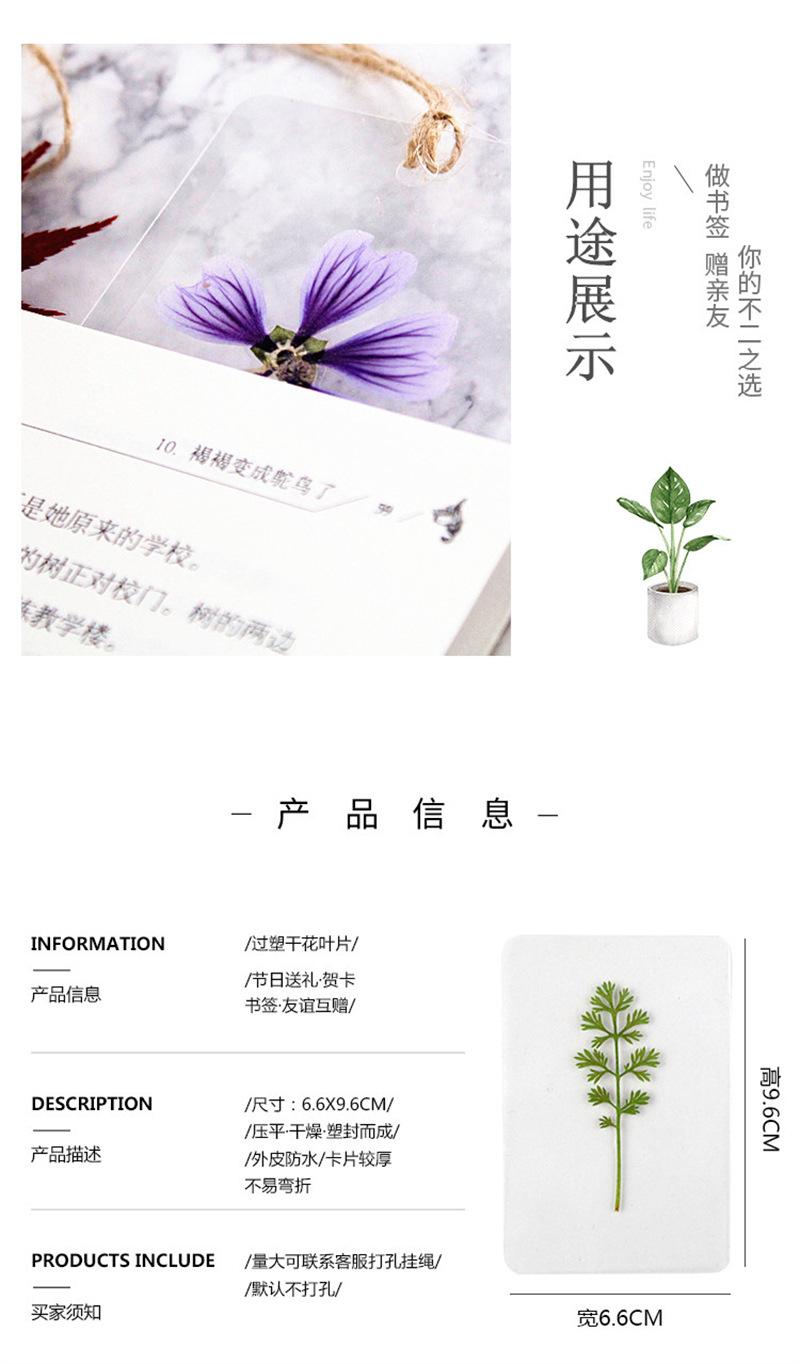 1_05_副本.jpg