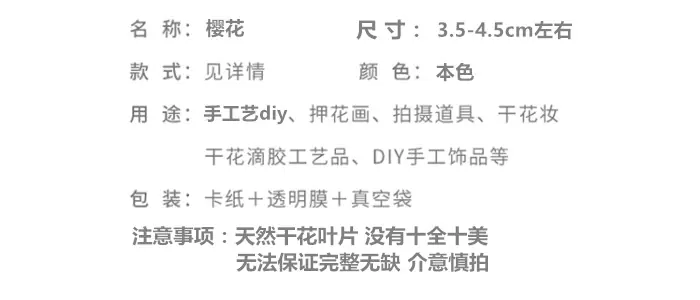 樱花.png