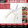 Tesouras para Galhos e Botões de Aço Inoxidável Atacado, Ferramentas Especiais para Bonsai, Tesouras, Tesouras de Poda para Vasos, Tesouras de Poda para Jardinagem, Tesouras Profissionais para Arranjo de Flores