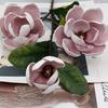 3 cabeças de Flor de Magnólia artificial feel foam Magnólia flor falsa decoração de casa arranjo de flores display de casamento fabricantes vendas