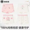 [100% Algodão] Roupa Íntima Infantil para Meninas, Tipo A de Algodão, Não Apertada, para Meninas Mais Velhas, Cueca Boxer de Algodão