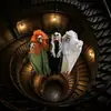 Decoração de Halloween retro desgastada com crânio de três cabeças, fantasma pendurado, floresta ao ar livre, abóbora, atmosfera de jardim, adereços assustadores