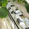 Sistema de Riego por Goteo para Plantas de Arándanos en Maceta con Dispositivo de Control de Flujo Constante