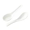 Colher de Cerâmica Não Porosa Doméstica Branco Puro Hotel Restaurante Colher de Sopa Nórdica Simples Colher de Arroz