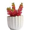 Decoración de planta suculenta de simulación, planta en maceta, adornos de planta verde, Loto de Jade, cadena de dinero, grano de fruta, plato combinado de flores de plástico
