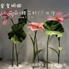 Tienda de flores de papel gigantes a gran escala Meichen decoración de boda accesorios de boda diseño de ventana productos de flores de papel falsas hechas a mano