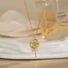 Colar para Mulheres, Flor de Zircônia Bauhinia Giratória da Moda Nicho Moda Novo Design Pingente Titânio Aço Colar de Temperamento