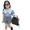 Ropa Infantil Estilo Coreano Verano 2024 Nueva Llegada Camisa Vertical con Patrón de Encaje para Niñas Estilo Universitario Cuello Puntiagudo Mangas Abullonadas