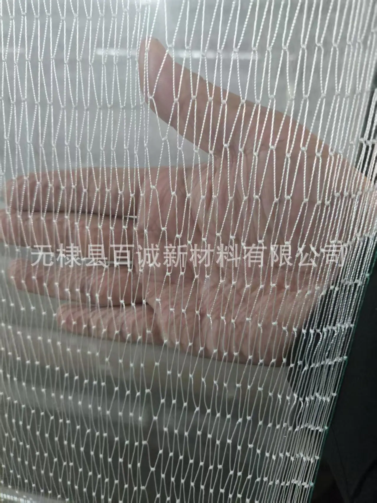 微信图片_20250403213952