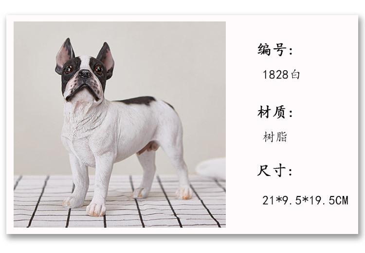 法国斗牛犬_10.jpg