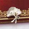 Broche Feminino Dummy Ginkgo Folha Acessórios Broche Faux Pearl Simple Sweater Pin Atmosfera coreana
