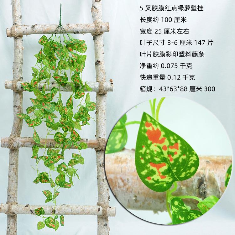 5叉胶膜红点绿萝叶壁挂