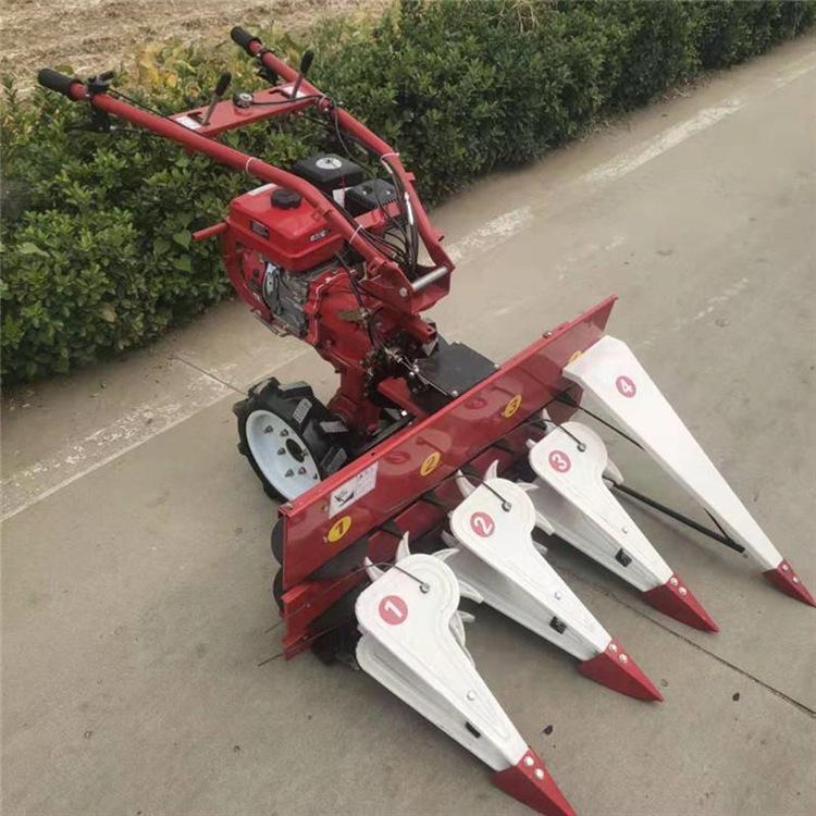 前置稻麦割晒机 (3)